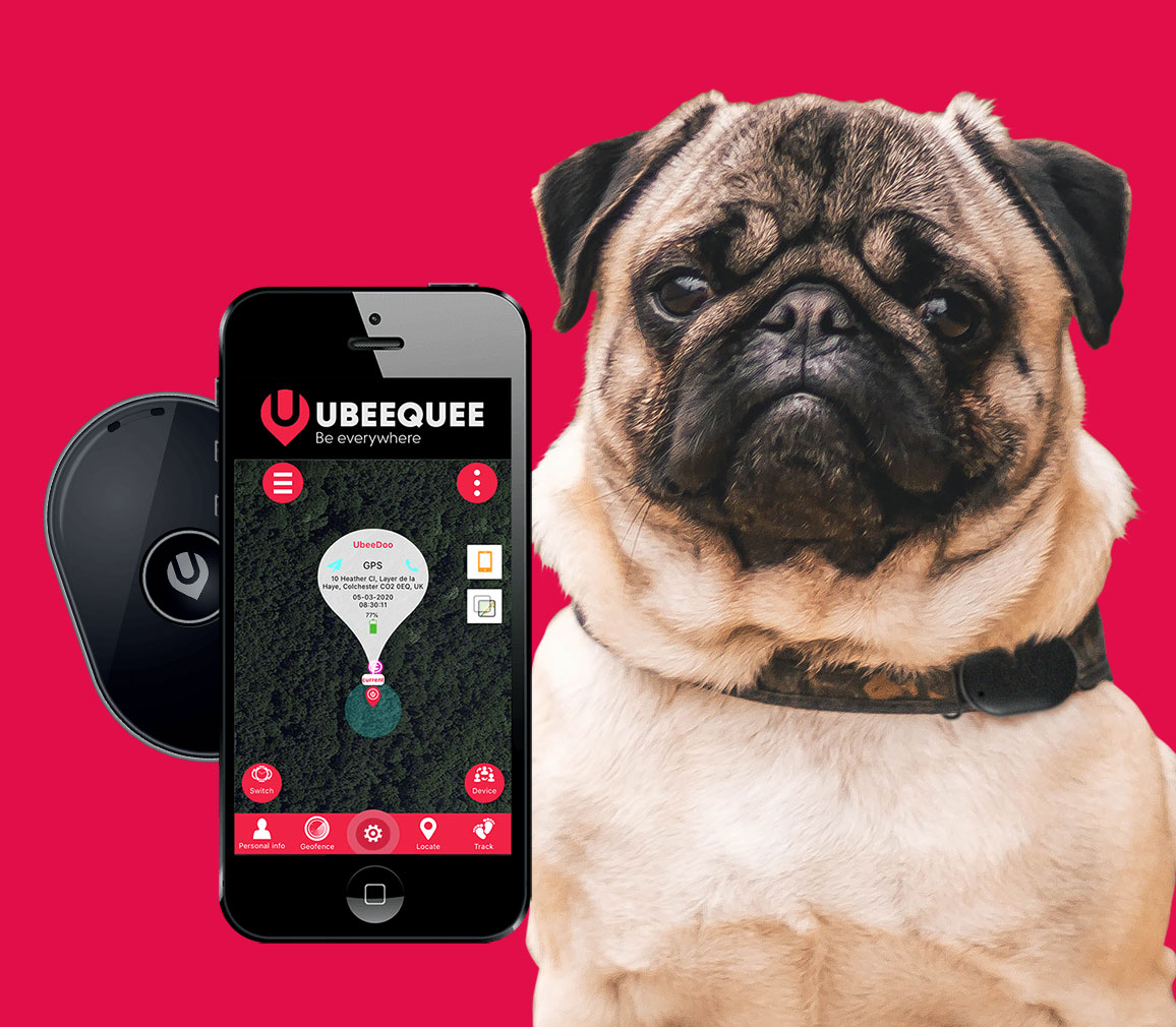 GPS Dog Tracker Small Dogs | UBEE CITY | Only 23g - Ubeequee