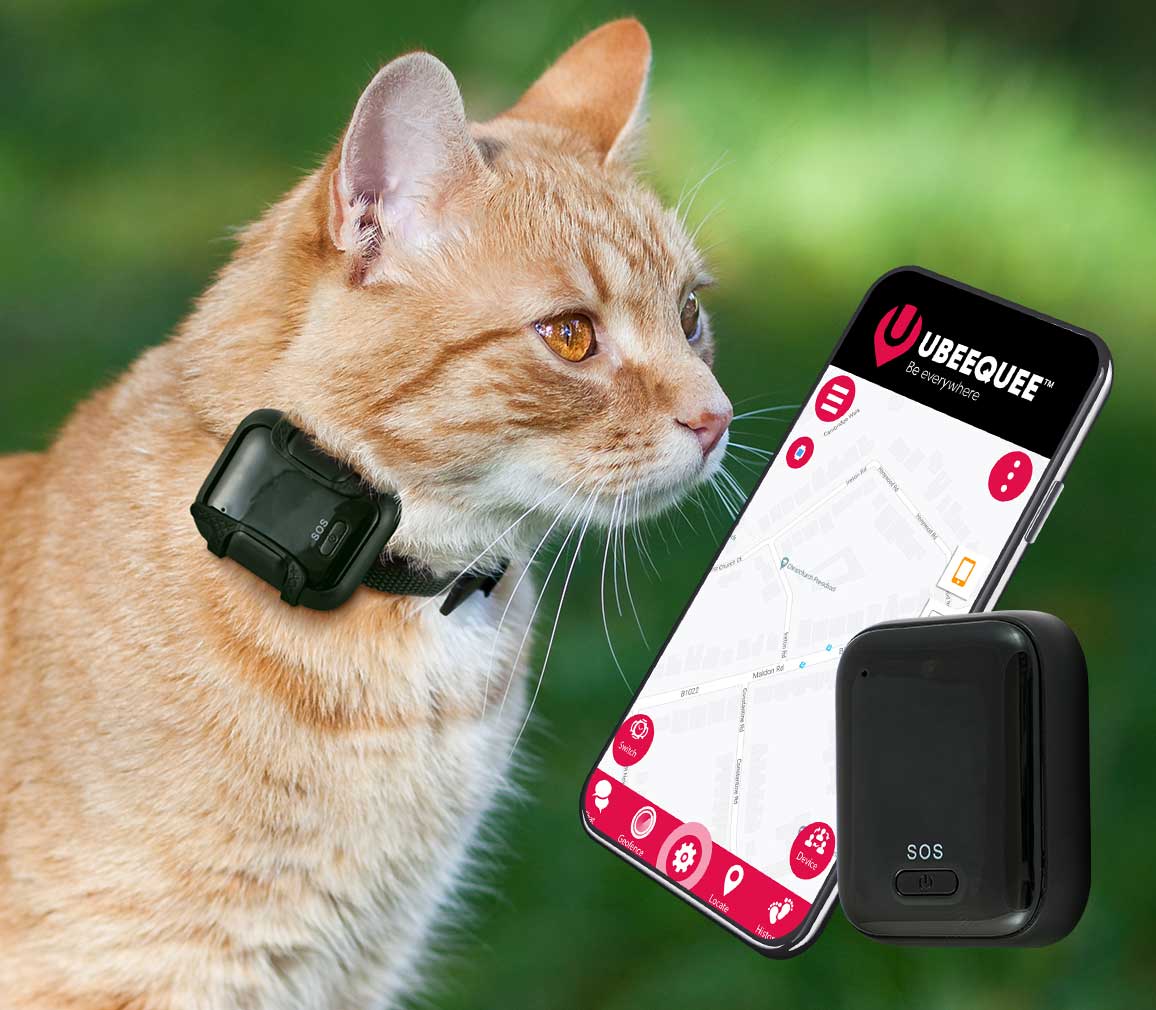 Miniature kaffe byrde 4G GPS Cat Tracker | UK Supplier | UBEE CAT 4G - Ubeequee